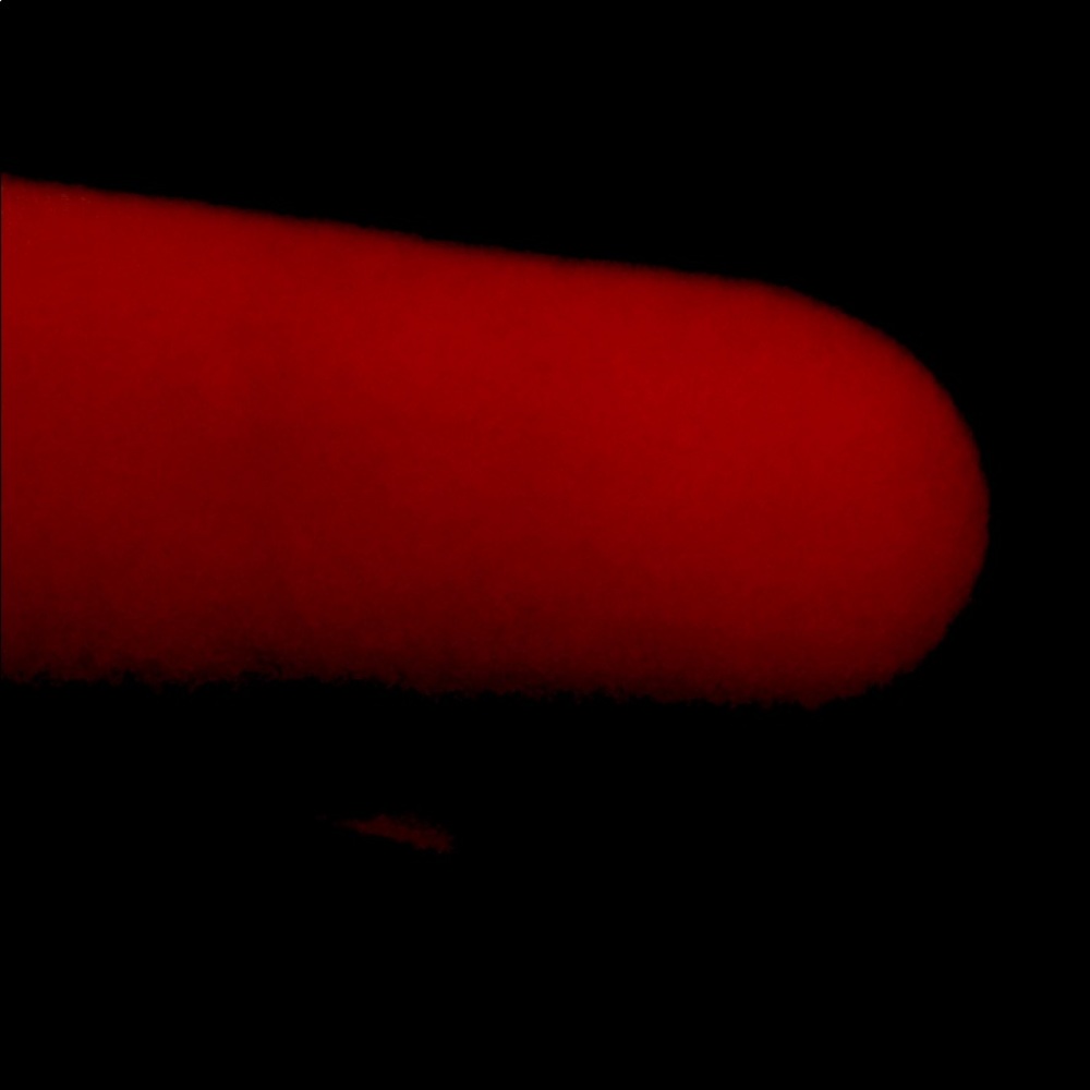 Meet your Posher, Tony